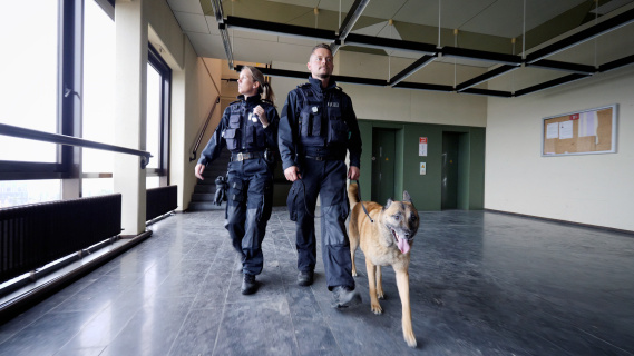 Das Team der Hundestaffel mit Hund in einem Hausflur